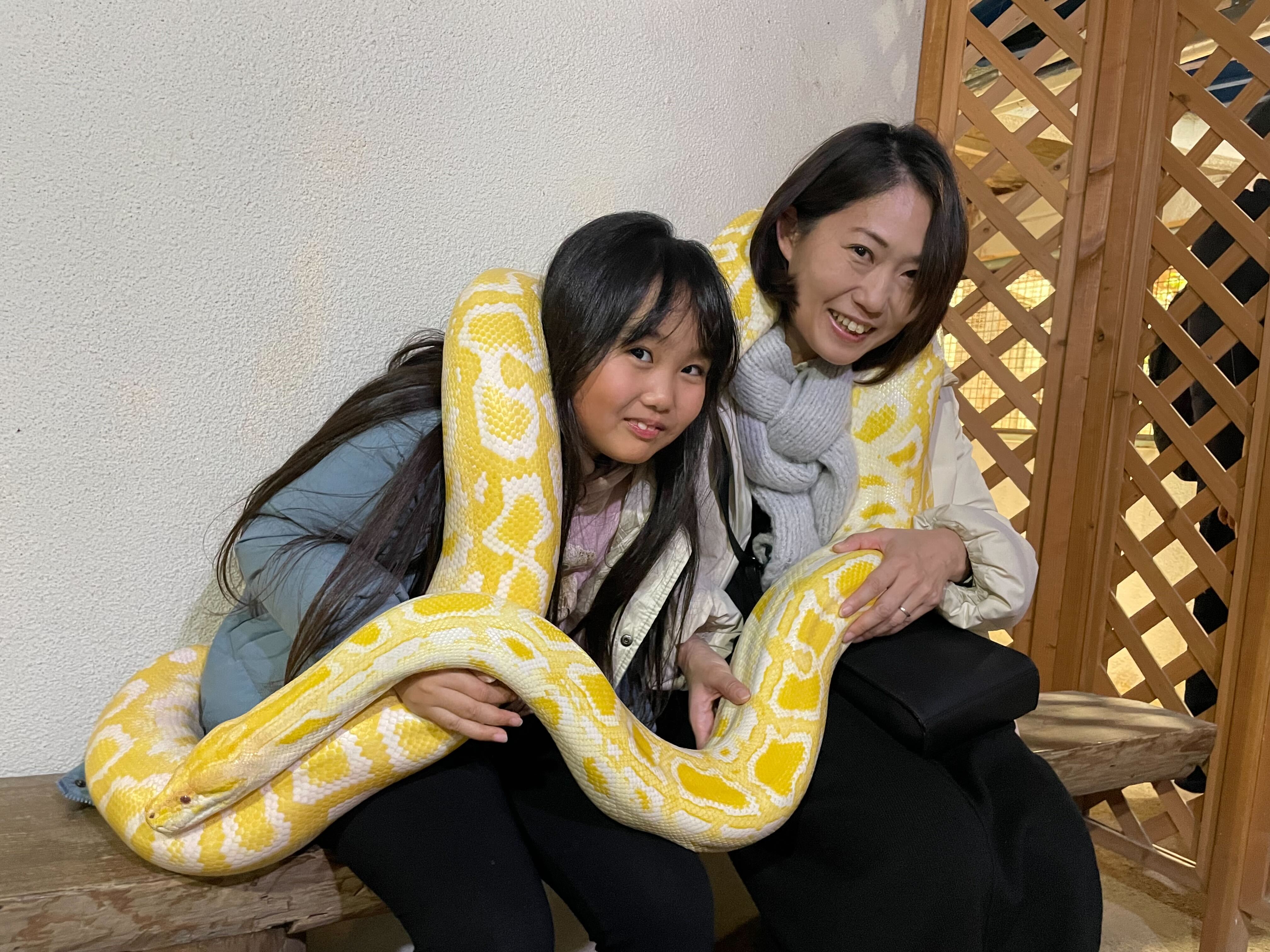 0c9476fb9b0983d20064372a36722850