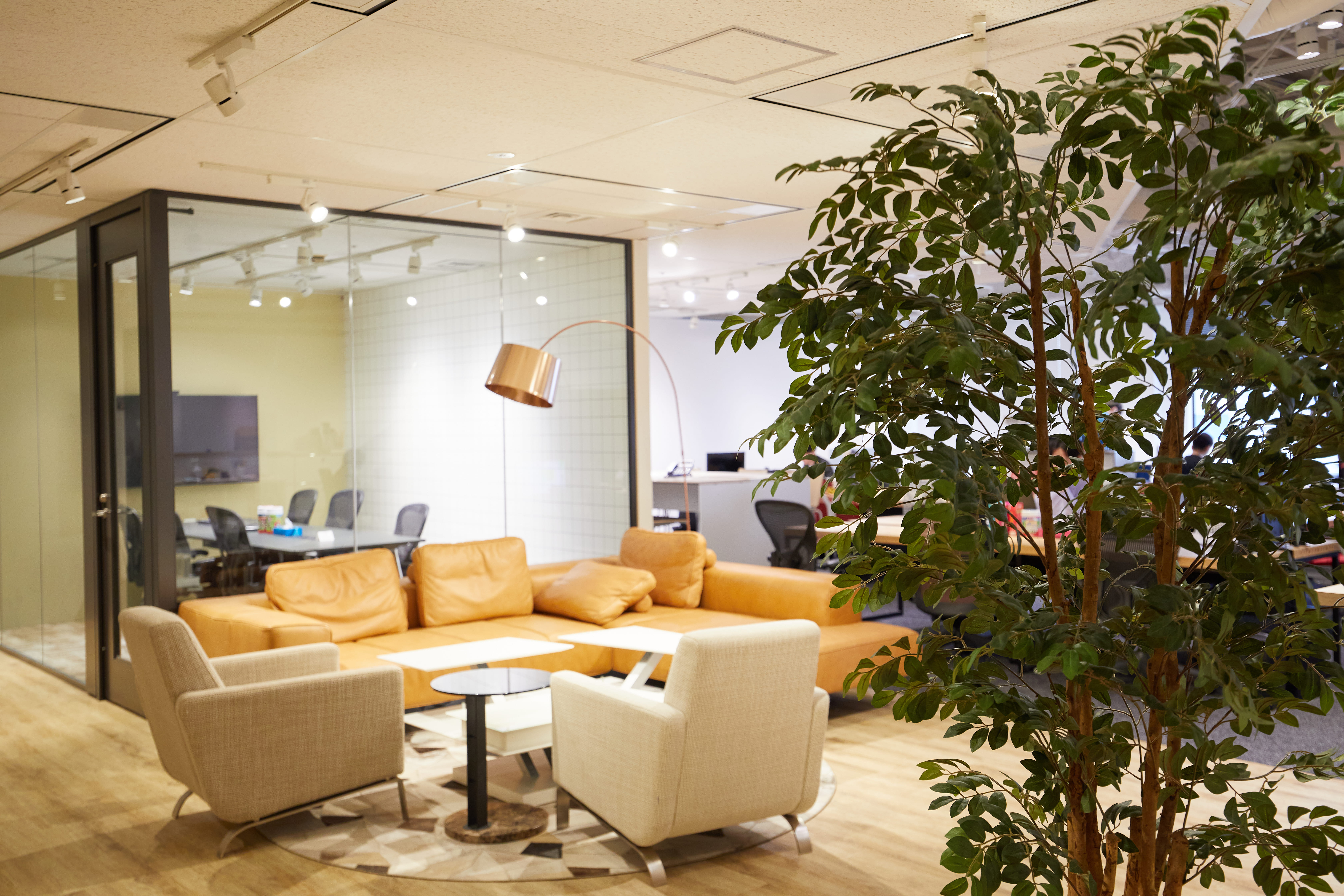 bc9d00f067351e51015add9ce3beec2a